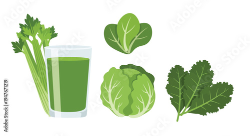 Fresh green juice with various leafy vegetables and herbs illustrated