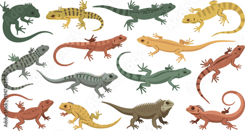 Lizard Vector Illustration Set Featuring Various Gecko and Iguana Reptiles in Crawling Poses for Wildlife Nature Graphics, Herpetology Education, and Exotic Animal Designs.