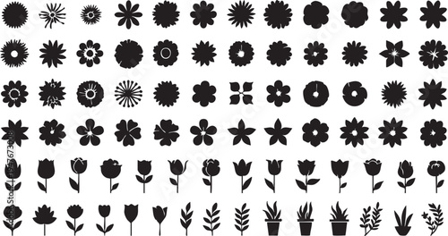 Flower vector pack: 70+ floral silhouettes, botanical designs, and plant icons for graphic design eps