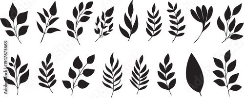 Black leaf vector set: botanical illustration, floral design elements, leaves clipart eps silhouette