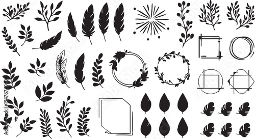 Vector botanical elements: leaves, feathers, wreaths, and frames - free download eps silhouette