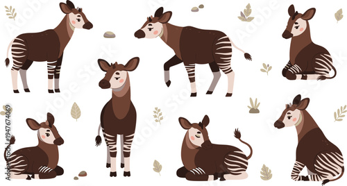 Okapi Wildlife Illustration Set Featuring African Okapis Standing, Walking, and Resting with Striped Legs in Forest Nature Design.