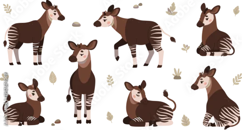 Tapety Okapi Wildlife Illustration Set Featuring African Okapis Standing, Walking, and Resting with Striped Legs in Forest Nature Design.