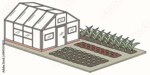 A small greenhouse next to a garden with plants and a plot of land Vector