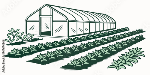 A greenhouse with rows of plants growing inside and outside Vector