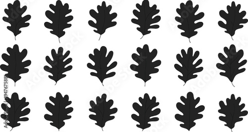 Oak leaf silhouettes, botanical illustration, nature pattern, foliage design, woodland artwork, autumn leaves, forest element, plant shapes, organic texture, greenery