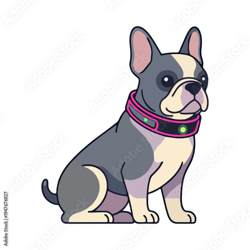 French Bulldog with Smart Collar