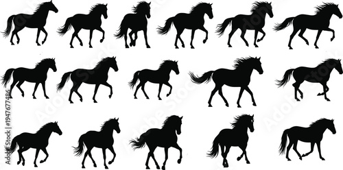 Galloping horse silhouette vector set, running stallion collection in various movement poses, equestrian action graphics, wild mustang isolated on white background.