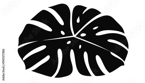 Black monstera leaf silhouette isolated on transparent background, tropical plant vector icon