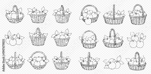 Set of hand-drawn apple baskets and apple branches with leaves, vintage sketch style illustrations.