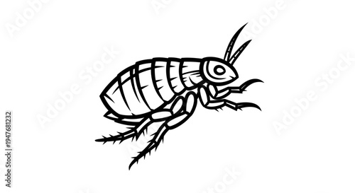 Illustration of a flea in black and white, a common pest