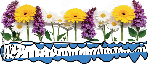 Spring flowers border with colorful daisies chamomile and gerbera blossoms with green leaves in a beautiful floral garden style