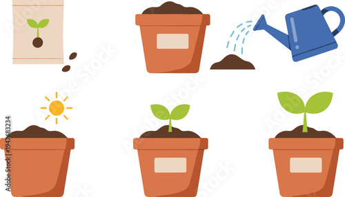 plant growth stages illustration, seed planting watering pot sunlight seedling gardening process vector agriculture plant lifecycle icons