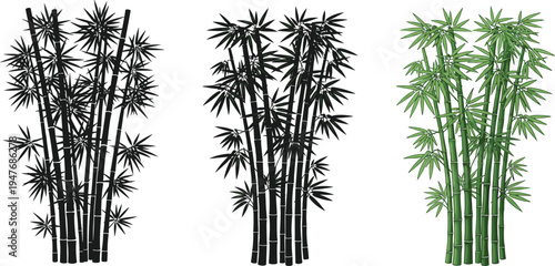 Bamboo tree plant set with black silhouettes and green color illustration isolated on white background, oriental tropical nature design elements.