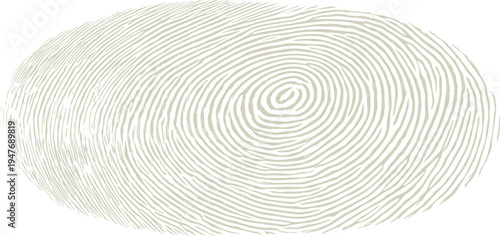 Beige fingerprint pattern with concentric oval ridges on a white background