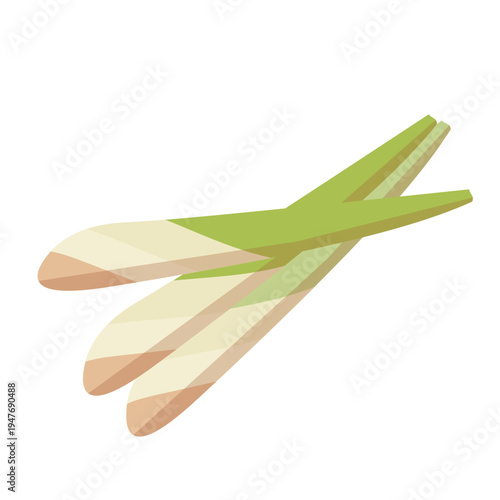 Lemongrass Stalks Illustration