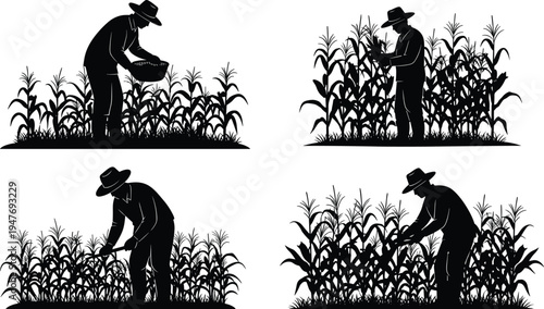 Farmer silhouette set working in corn field, agriculture harvesting process, rural scene with workers and maize plants isolated on white background.