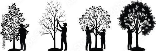Gardeners pruning trees silhouette set, arborist working on branches with shears, landscaping and fruit tree maintenance isolated on white background illustration.