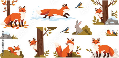 Fox in forest wildlife vector illustration set with woodland animals trees birds and seasonal nature elements collection
