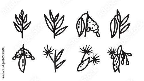 Botanical Elements Collection Line Art Simple Icons Various Plants and Seeds Isolated on White Background
