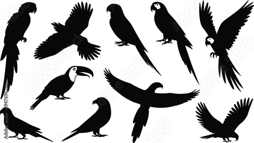 Diverse black silhouette birds including parrots eagles and toucans in dynamic poses parrot silhouette