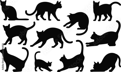 Diverse Black Silhouettes of Cats in Various Poses and Actions on a White Background feline