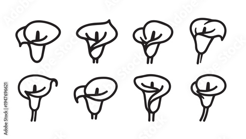 Calla Lily Flower Outline Icons Set Different Angles Simple Line Art Stock Graphic