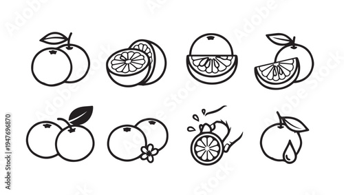 Citrus Fruit Icons: Oranges and Slices with Leaves and Flower Isolated Vector Graphics