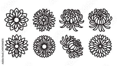 Chrysanthemum Flower Line Art Icons Collection Various Styles Isolated on White