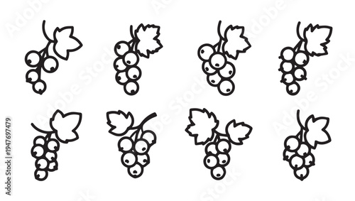 Collection of Black Outline Red Currant Berries with Leaves on White Background Stock Icons
