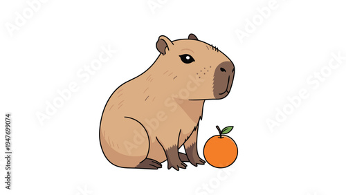 Simple illustration of a calm capybara sitting peacefully next to a ripe orange fruit on a plain white background.