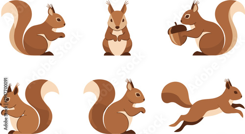 Simple squirrel vector illustration set featuring woodland rodent characters sitting running jumping and holding acorn minimal flat design