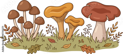Autumn Woodland Mushroom Patch Vector Illustration – Chanterelles and Wild Fungi with Fall Leaves