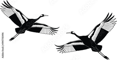 Flying crane bird silhouette vector illustration, graceful cranes with wide wingspan in flight isolated wildlife birds for nature, migration and freedom design