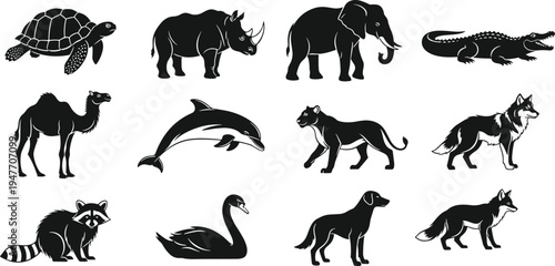 Wild animals silhouette collection vector illustration, turtle rhinoceros elephant crocodile camel dolphin panther wolf raccoon swan dog fox isolated wildlife set