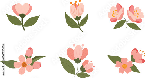 A collection of six hand drawn floral illustrations featuring soft pastel colors on white background