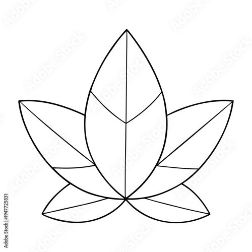 A leaf shape shows its outline and structure—oval, heart, lance, or fan-shaped—defining its identity, aiding photosynthesis, and adding beauty to plants.
