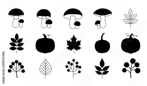 Autumn plants flat vector collection with mushrooms pumpkins leaves and berries isolated on white background