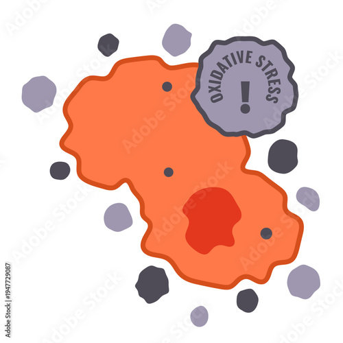 Oxidative stress from free radicals sign on damaged cell. Medical vector illustration.