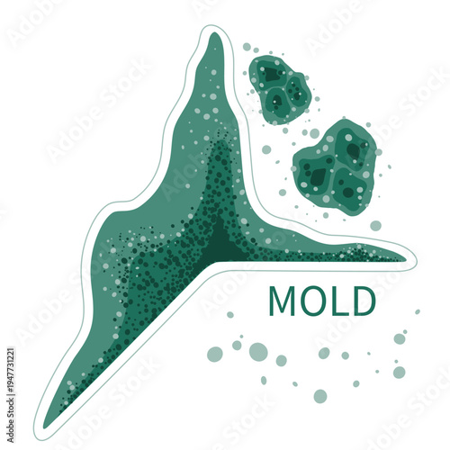 Green mold in damp room corner. Black fungus spores growth in humid environment vector illustration.