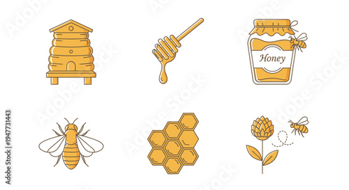 Honey bee and honeycomb illustrations 5.