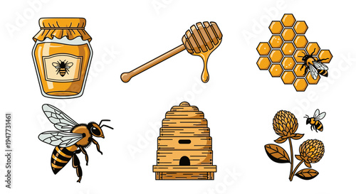 Honey bee and honeycomb illustrations 6.