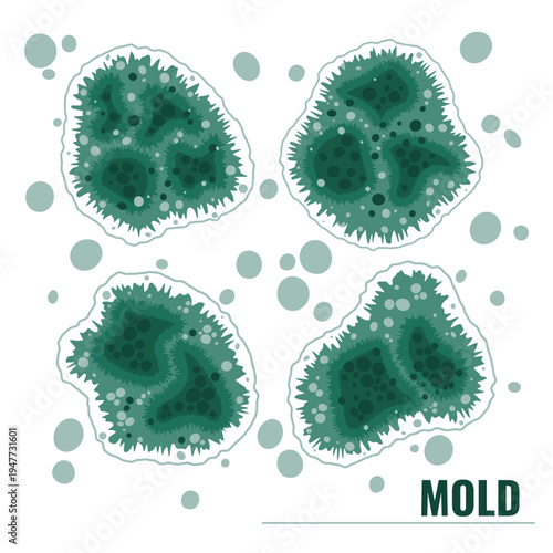 Set of vector illustrations showing green mold and mildew. Fungal spores bundle.