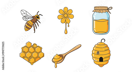 Honeycomb with honey and bee.