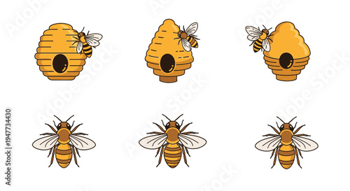 Bees and bee hives insects.