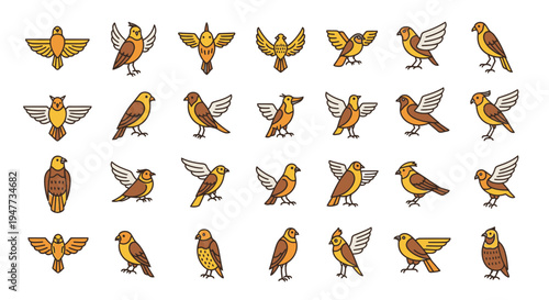 Collection of various bird species illustrations.