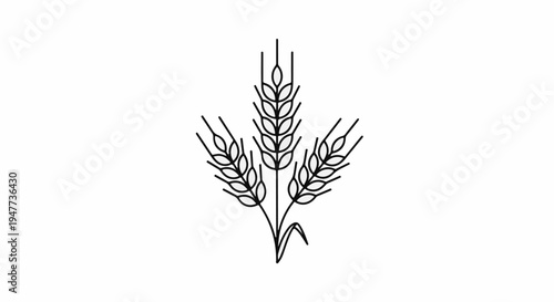 Simple black line drawing of three wheat stalks on a white background