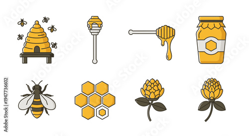 Honey bee and honeycomb illustrations 3.