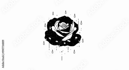 Stark black rose with white petals, surrounded by falling water droplets