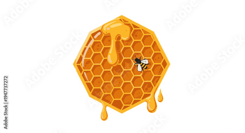 Honeycomb with dripping honey and bee.